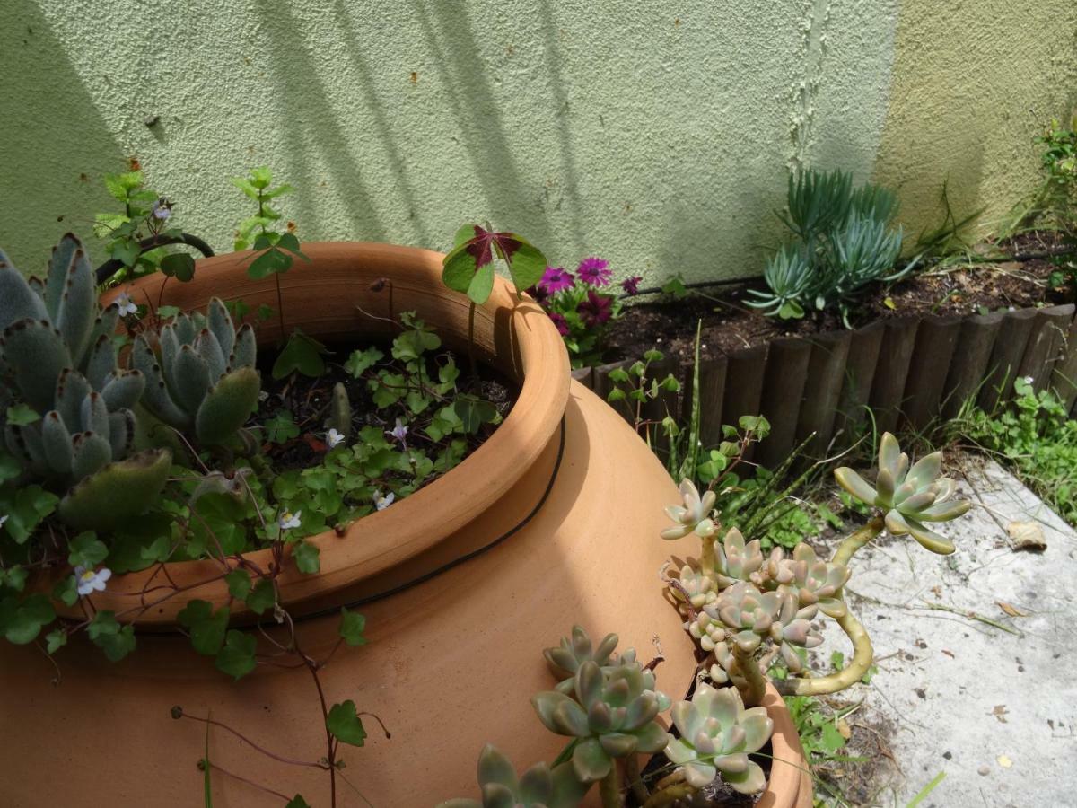 Jardin D'Olisipo - Centre Ville Lisboa Ngoại thất bức ảnh